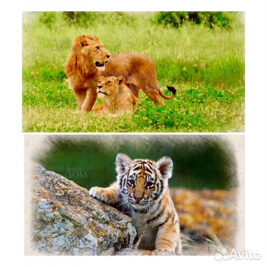 Настенное фотопанно