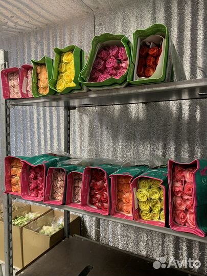 Цветы, розы, живые букеты