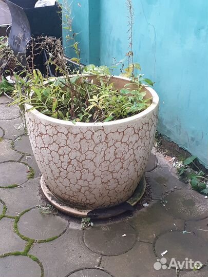Вазоны для цветы уличные