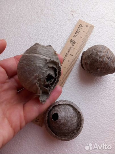 Осиные гнезда 3 шт комплект