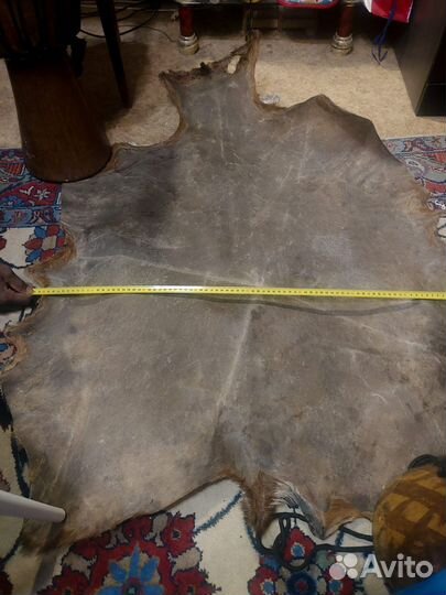 Африканская кожа козы из мали