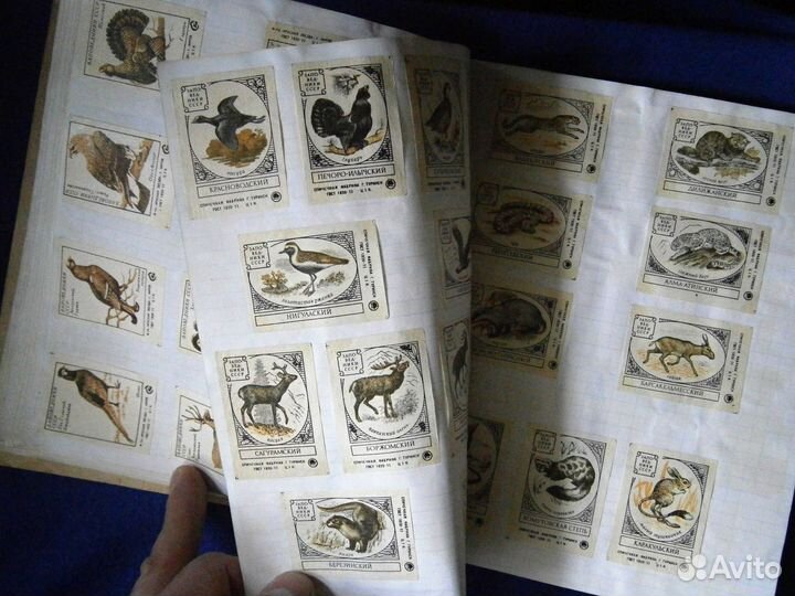 Спичечные этикетки. более 450 шт. разная тематика