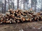 Лес на дрова объявление продам