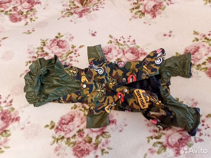 Одежда для йорка