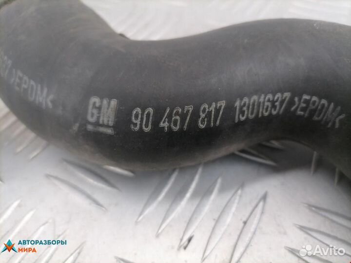 Патрубок радиатора Opel Omega B 1998 90509314