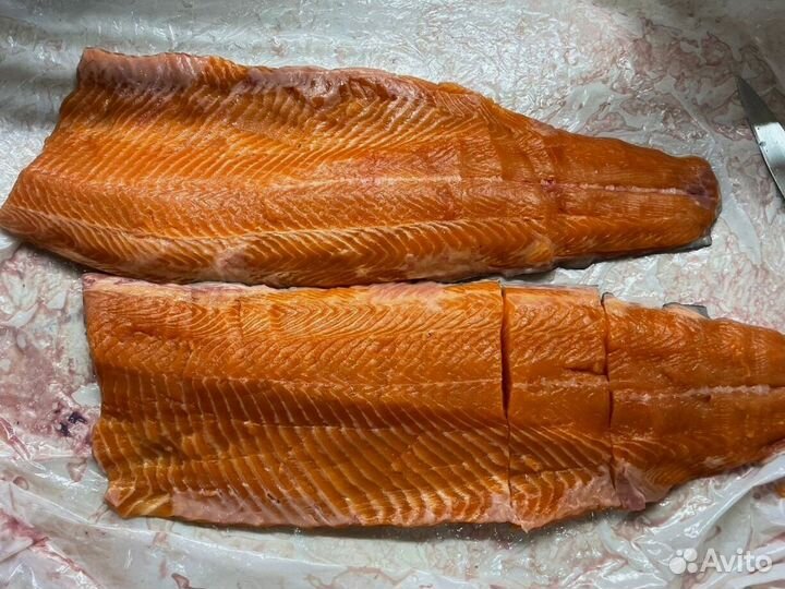 Форель Мурманская в розницу