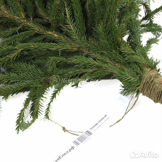 Лапник еловый пихтовый сосновый