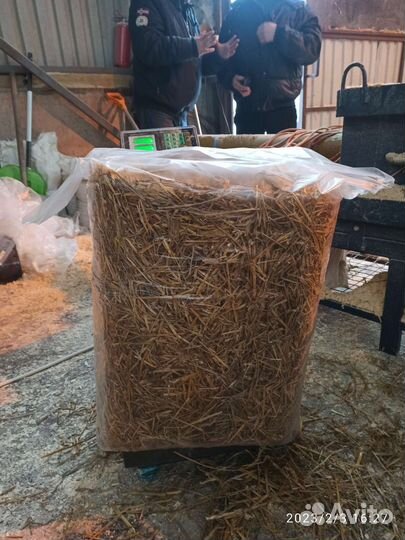 Солома для мульчирования