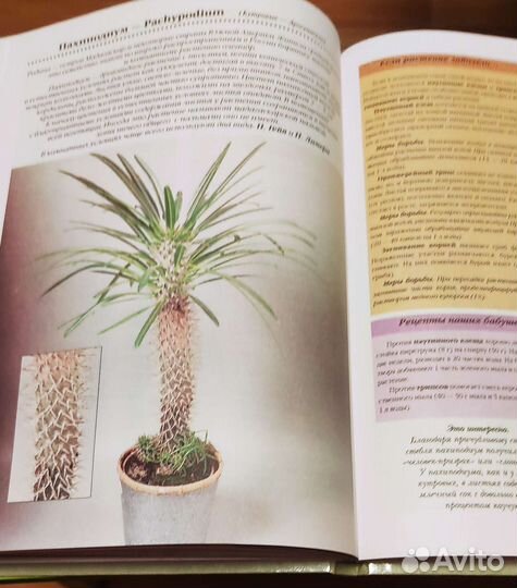 Книги о комнатных растениях