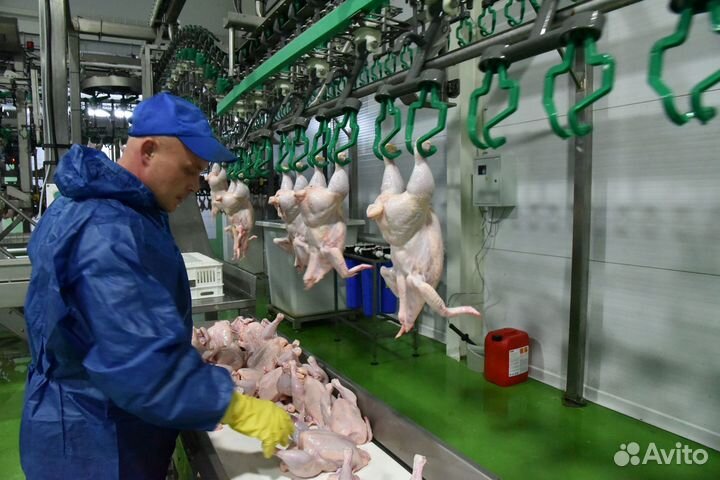 Рабочий на линию - вахта в Челябинской обл