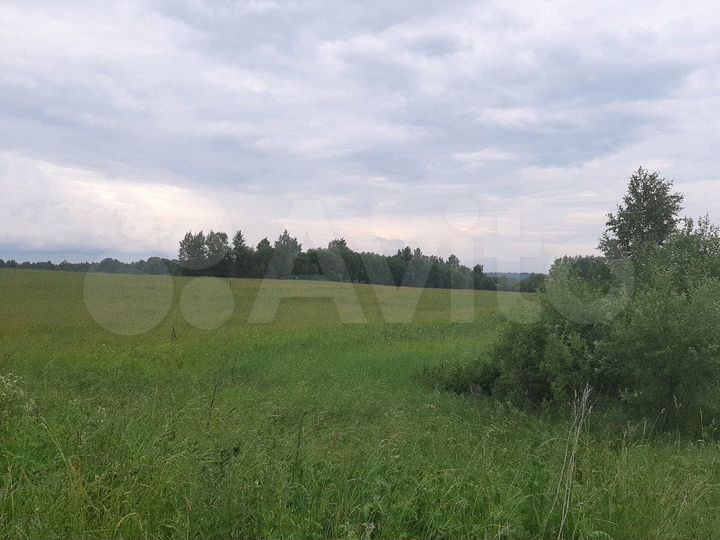 Участок 67 сот. (ИЖС)