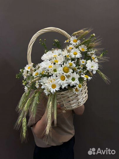 Полевые ромашки