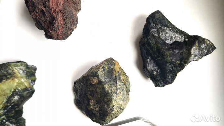 Аквариумные принадлежности