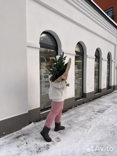 Букет из ели, елки, елок, нобилиса, зимний