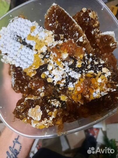 Мёд алтайский настоящий, в сотах и в банках