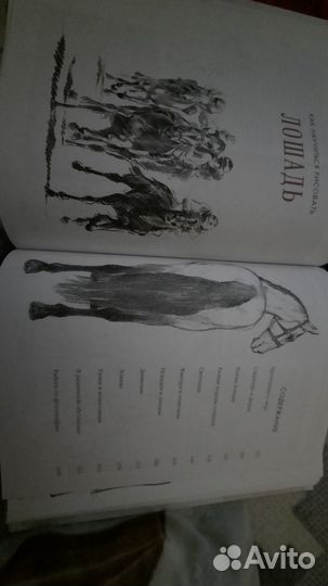 Книга для рисования