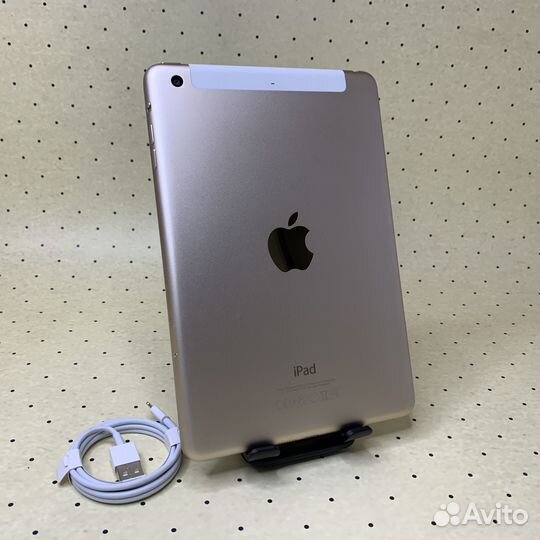iPad Mini 3 16gb Lte