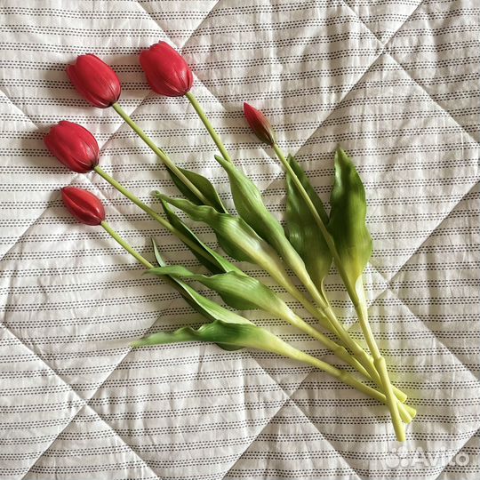 Букет из тюльпанов