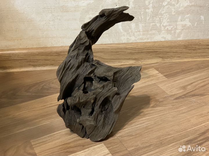 Коряги разные
