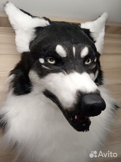 Фурсьют собаки/хаски реалистик