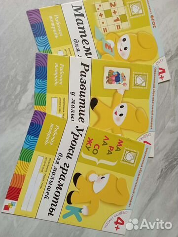 Рабочие тетради 4+