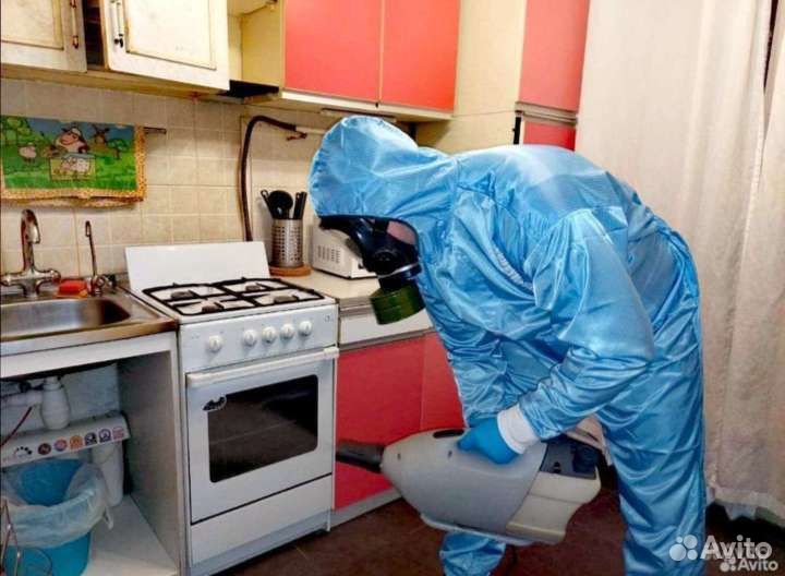 Уничтожение клопов тараканов мышей блох клещей