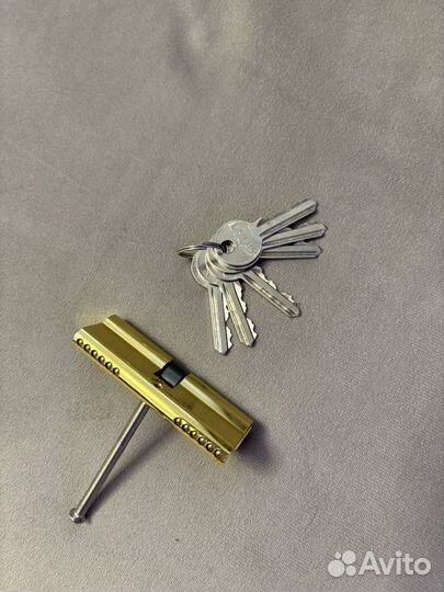 Личинка замка