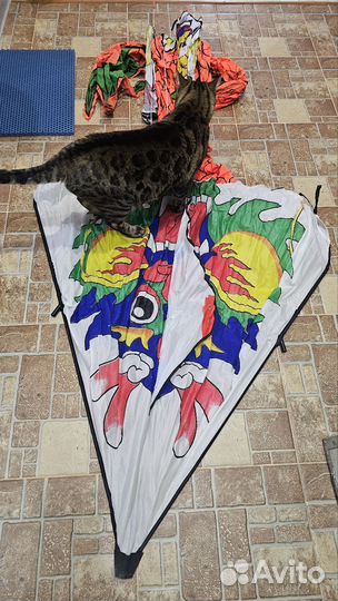 Воздушный змей