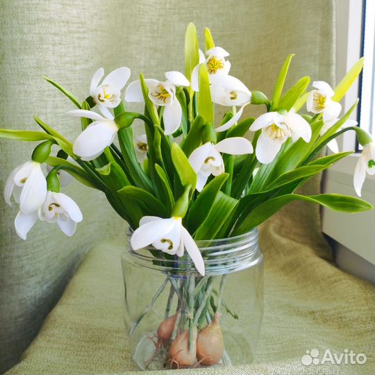 Цветы из холодного фарфора