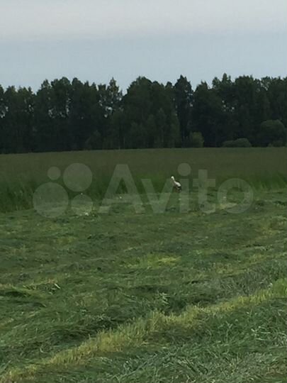 Участок 20 га (СНТ, ДНП)