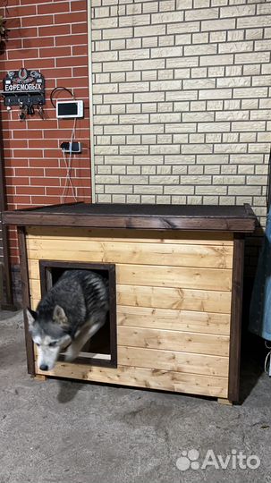 Будка для собаки