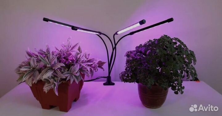Фито лампа для растений