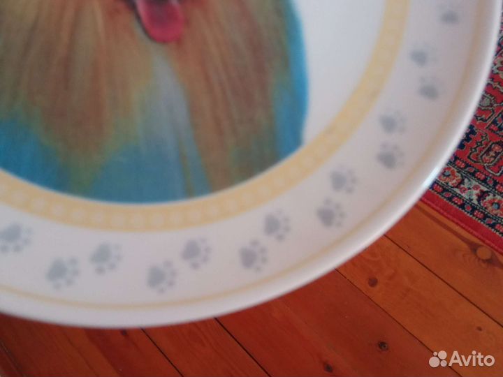 Тарелка собака колли шотландская овчарка