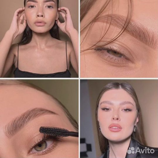 Обучение бровист