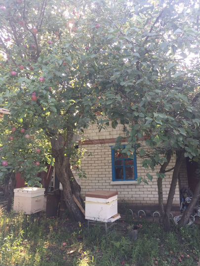 Дача 40 м² на участке 6 сот.