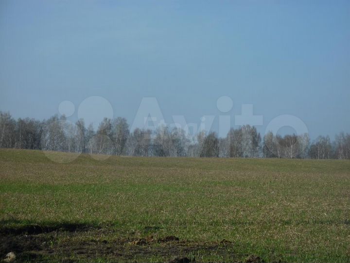 Участок 10,1 сот. (СНТ, ДНП)