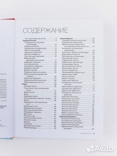 Красная книга Большая Спектор Анна Артуровна