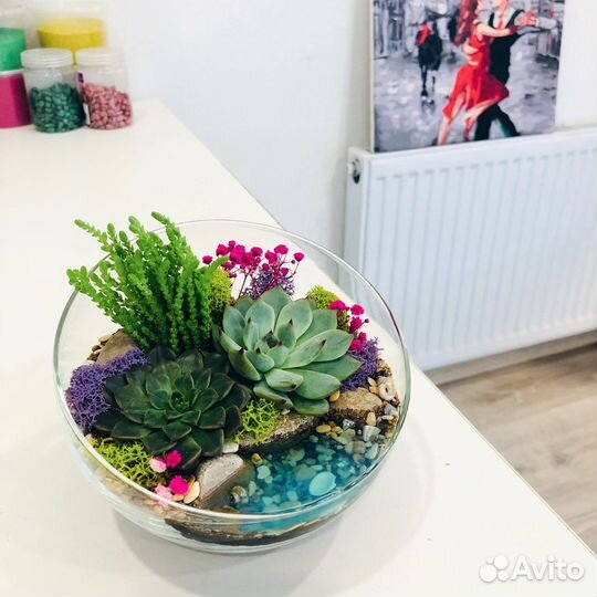 Флорариум суккулентами