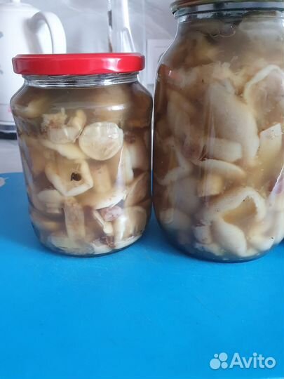 Грибы маринованные маслята,опята,грузди,арбузы