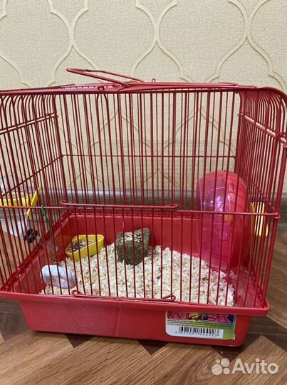 Клетка ддя хомяка