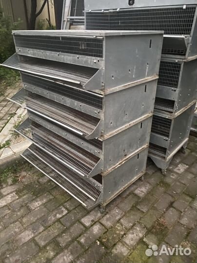 Клетки для перепелов