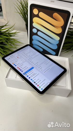Apple iPad Mini 6 64Gb WiFi Starlight акб 100