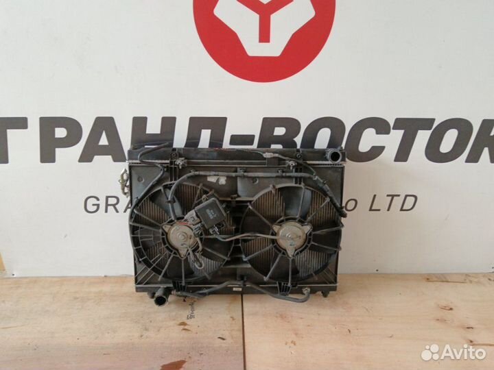 Радиатор охлаждения двигателя Nissan Fuga PY50