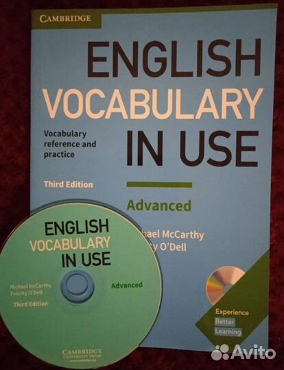 English Vocabulary in Use: advanced