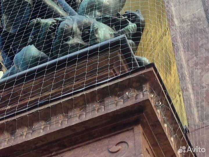 Отлов птиц на складах и в торговых залах