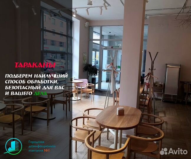 Уничтожение тараканов, клопов, мышей и вирусы