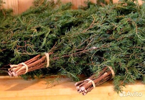 Веники для бани-можжевельник