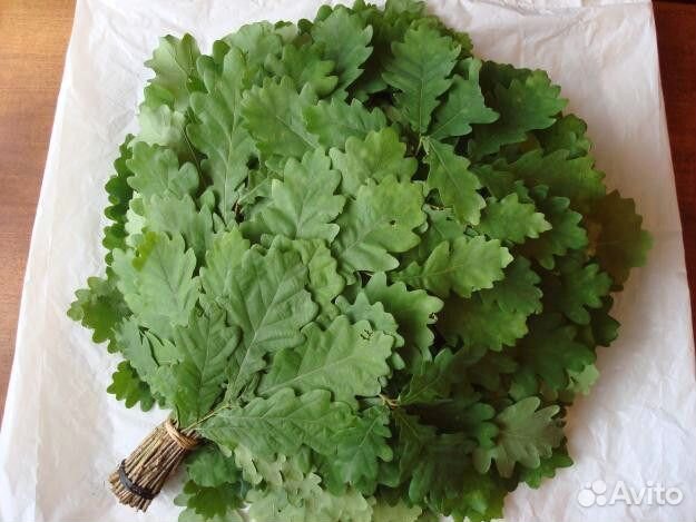 Веники для бани-дуб