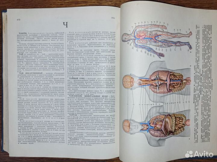 Популярная медицинская энциклопедия