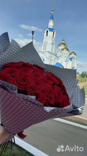 Цветы, Роза, 101 роза, 51 роза, Доставка